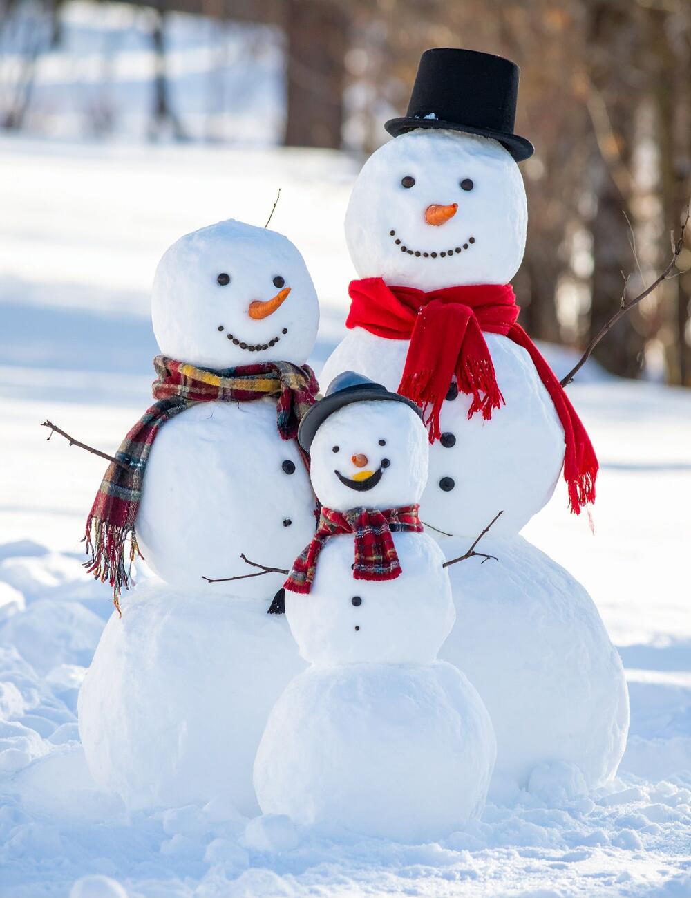 Carnaval de Marionville